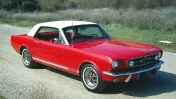 R N R Auto Restoration