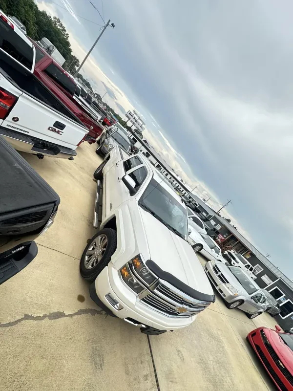 T-Rex Autoplex - photo 4