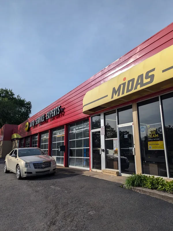 Midas - photo 4
